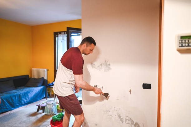 Best Bathroom Mold Remediation in Kinsley, KS